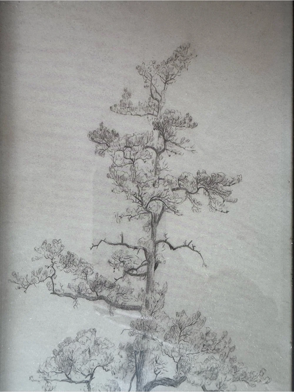 Hearth & Hand by Magnolia Black Framed Tree Sketch Wall Art